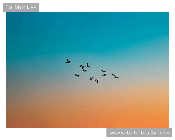 UFC Fight Pass订阅用户突破300万：成为仅次于ESPN+的第二大专项体育流媒体平台